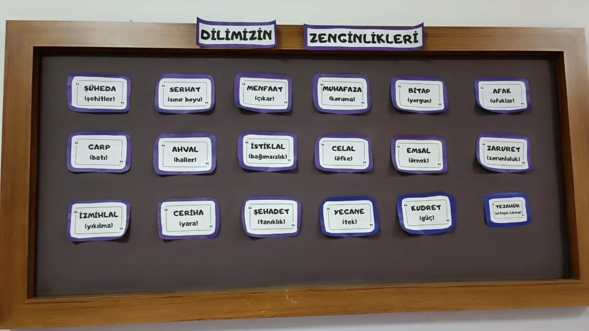 DİLİMİZİN ZENGİNLİKLERİ PROJESİ ÖZ TÜRKÇE KELİMELERİMİZ